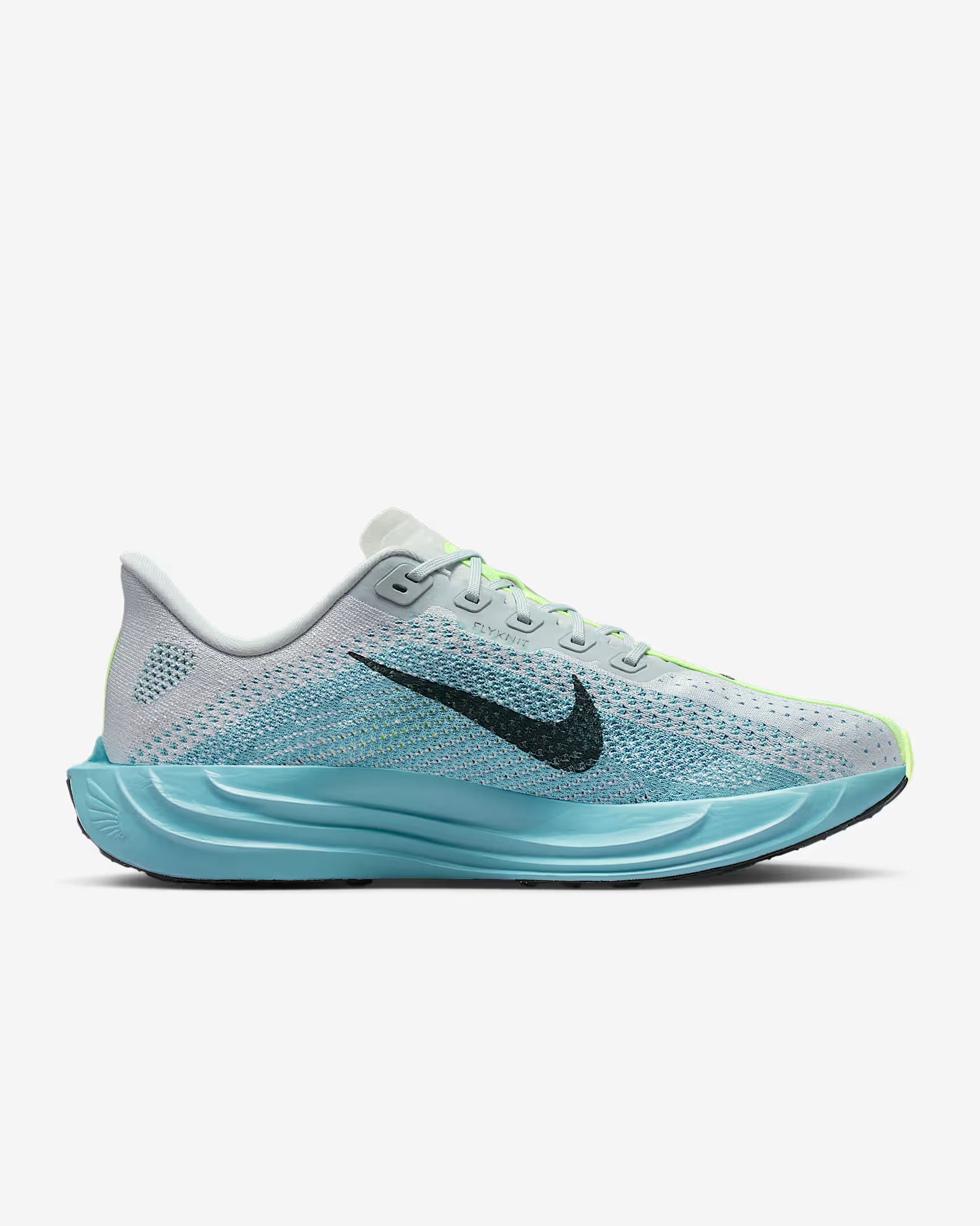 Nike Pegasus Plus