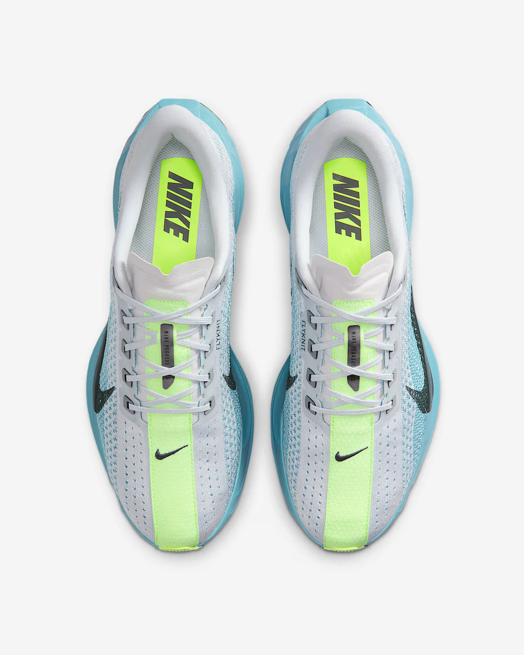 Nike Pegasus Plus