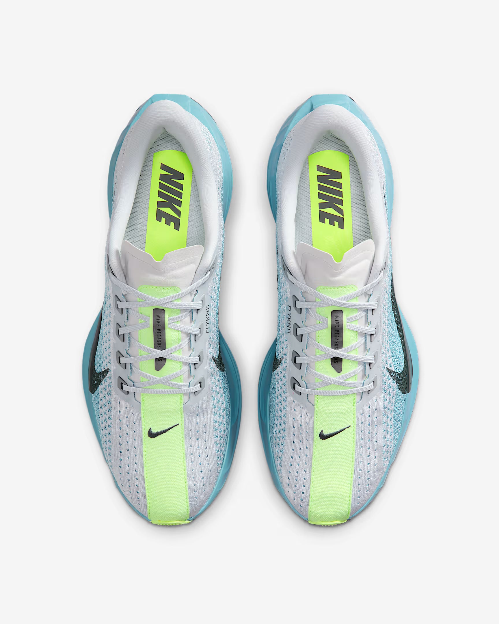 Nike Pegasus Plus